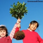 girls-and-tree-roots girls-and-tree-roots