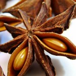 staranise500