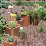 Herb Garden