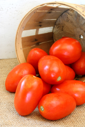 plum-tomatoe