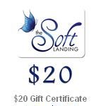 the soft landing