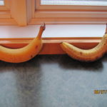 IMG_0001 IMG_0001