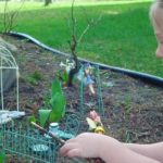 Josie and her fairy garden