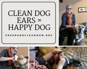 Top 5 Natural Dog Ear Cleaners: A Quick Review