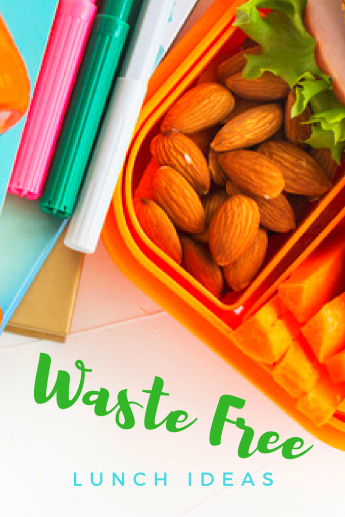 13 EcoFriendly Lunch Box Solutions